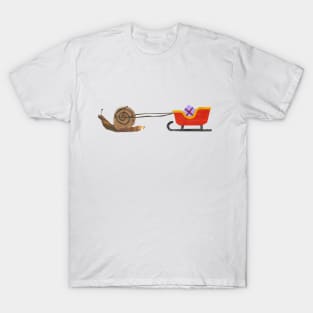 Snail Mail (Christmas sleigh) T-Shirt